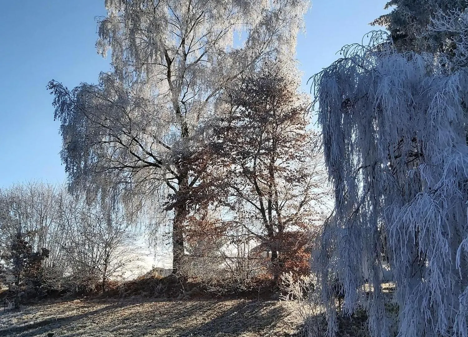 Anno Wohlfuehlidylle Appartement Kirchdorf im Wald Duitsland